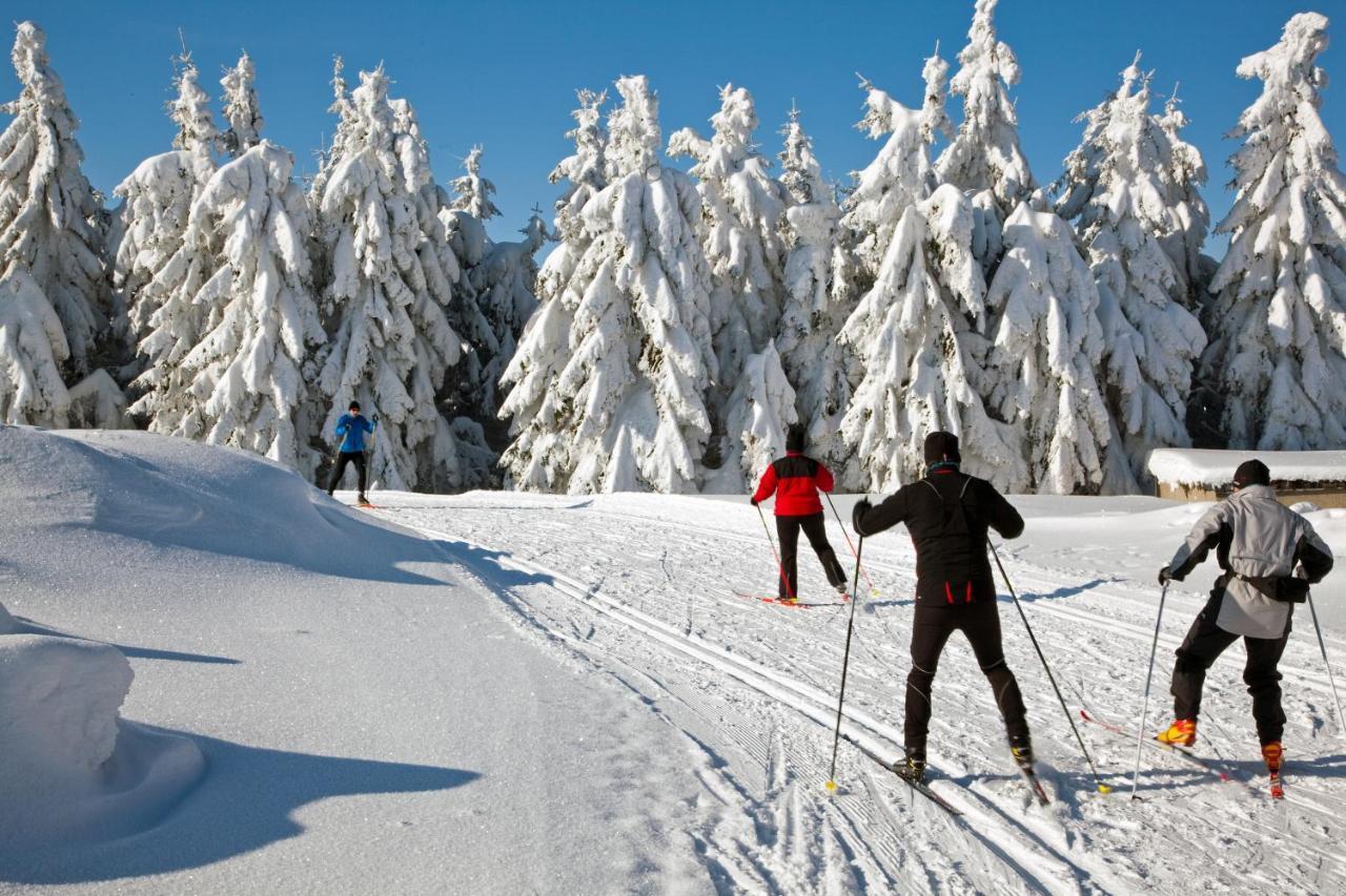 Apartmán Bazatatry Stokrotka Zakopane